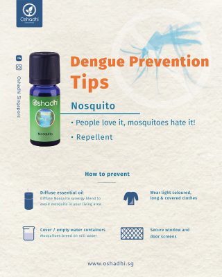 Dengue prevention tips