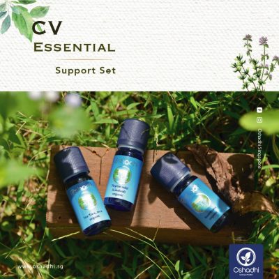 CV Essential Support Set
