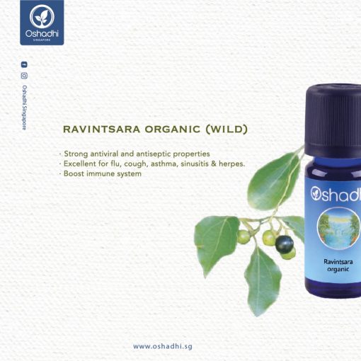 Ravintsara Organic EO