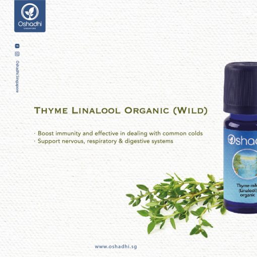 Thyme Linalool Organic